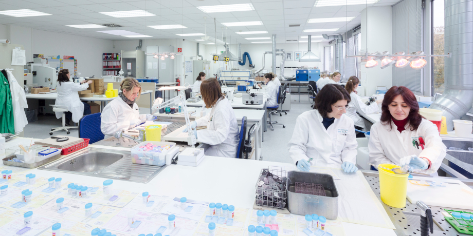 Mitarbeiterinnen in weißen Kitteln sitzen an Labortischen und arbeiten